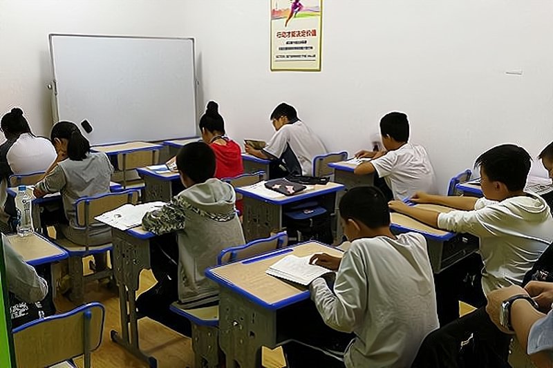 网络课程：开启学习新纪元的桥梁